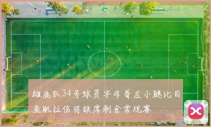雄鹿队34号球员字母哥左小腿比目鱼肌拉伤将缺席剩余常规赛