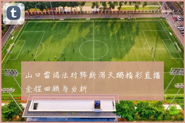 山口雷诺法对阵新泻天鹅精彩直播全程回顾与分析