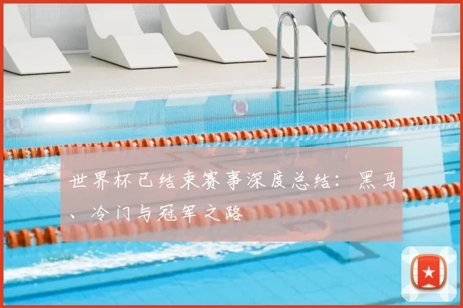 世界杯已结束赛事深度总结:黑马、冷门与冠军之路