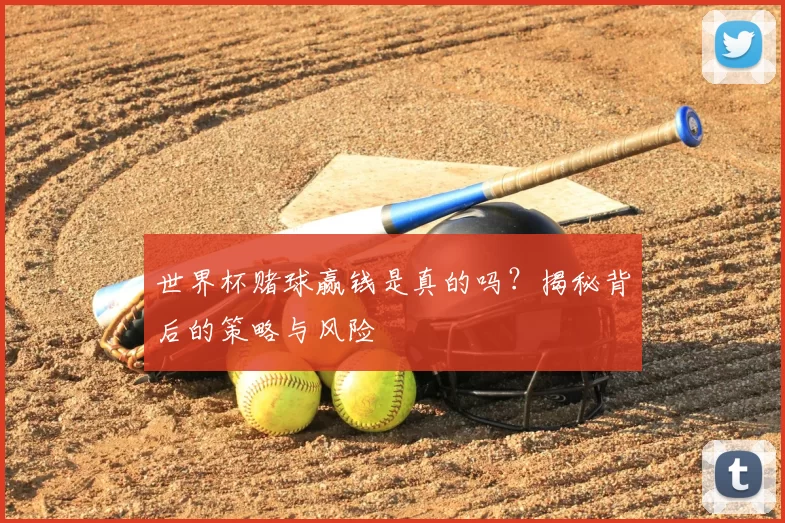 世界杯赌球赢钱是真的吗？揭秘背后的策略与风险