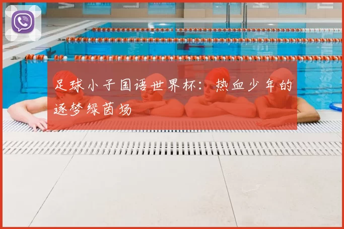 足球小子国语世界杯：热血少年的逐梦绿茵场