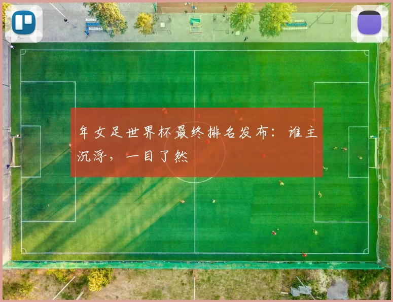 年女足世界杯最终排名发布：谁主沉浮，一目了然
