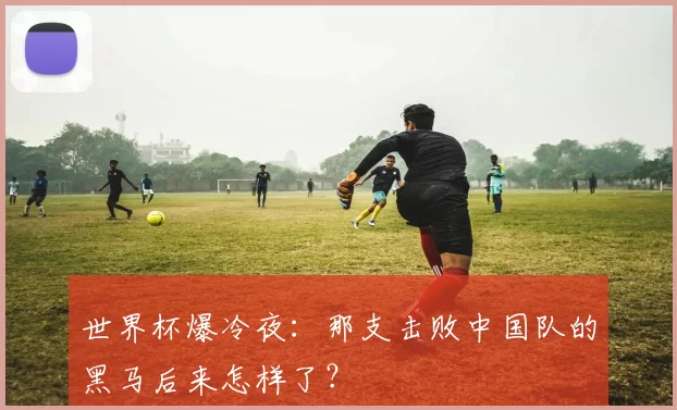 世界杯爆冷夜：那支击败中国队的黑马后来怎样了？