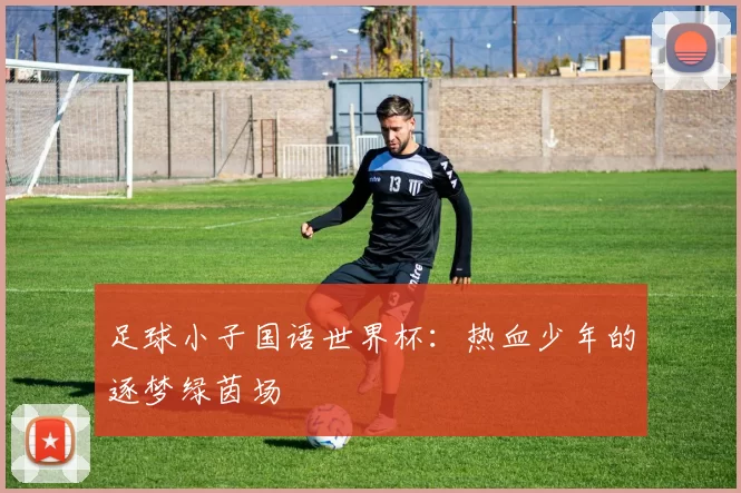 足球小子国语世界杯:热血少年的逐梦绿茵场