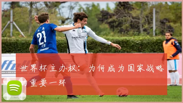 世界杯主办权：为何成为国家战略的重要一环