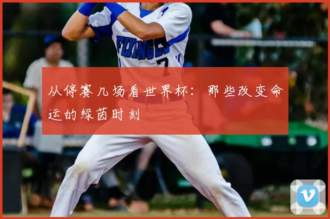 从停赛几场看世界杯：那些改变命运的绿茵时刻