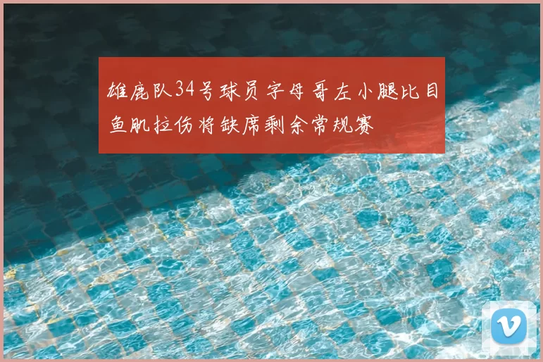 雄鹿队34号球员字母哥左小腿比目鱼肌拉伤将缺席剩余常规赛