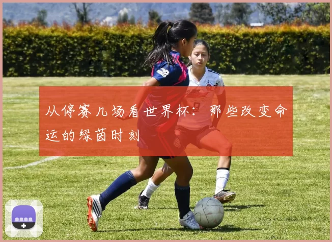 从停赛几场看世界杯：那些改变命运的绿茵时刻
