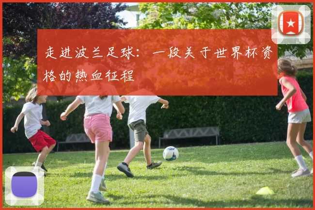 走进波兰足球：一段关于世界杯资格的热血征程